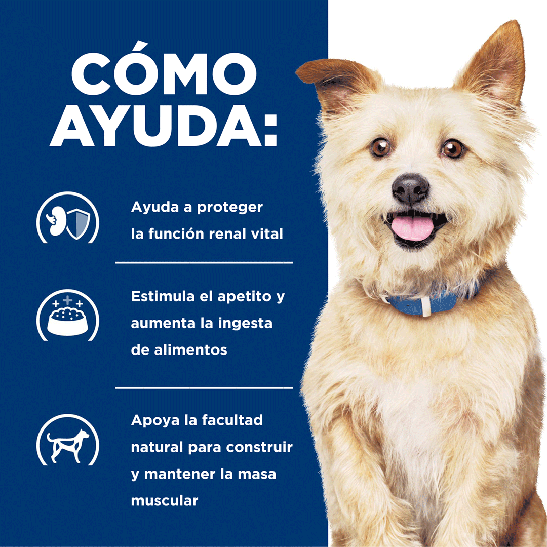 Hills k/d Kidney Care Prescription Diet - Alimento para Perro Hills k/d Kidney Care Prescription Diet - Alimento para Perro